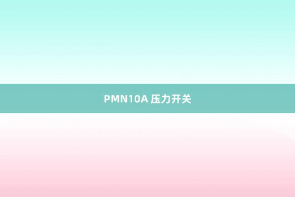 PMN10A 压力开关